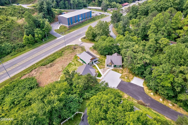 1012 Pinyon Cir, Pigeon Forge, TN 37863 - aerial view