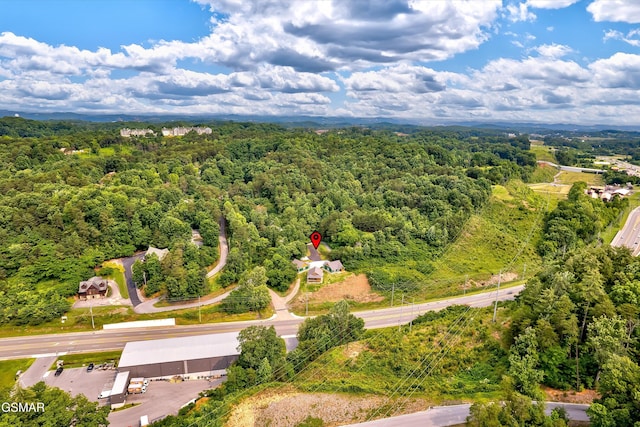 1012 Pinyon Cir, Pigeon Forge, TN 37863 - aerial view of a heavily wooded area