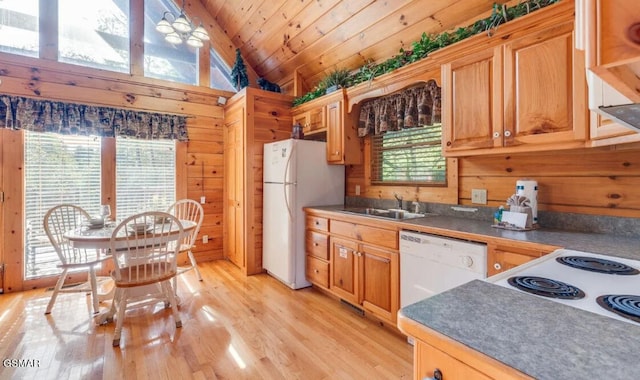 kitchen with sink, white appliances, wooden walls, and light hardwood / wood-style floors