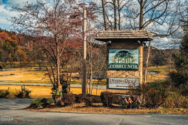 415 Matterhorn Dr, Gatlinburg, TN 37738 - photo 47