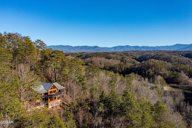 view of mountain feature with a wooded view