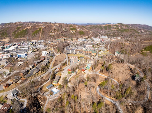 birds eye view of property featuring a mountain view