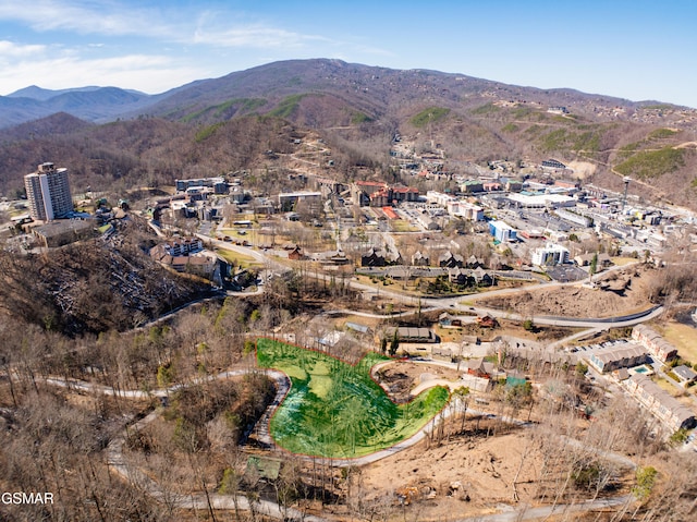 view of mountain feature