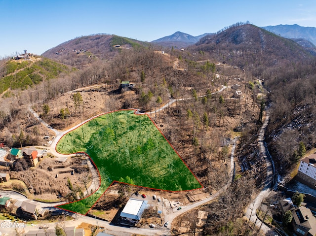 birds eye view of property with a mountain view