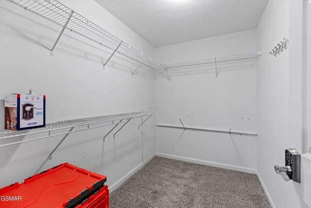 1369 Korey Blvd, Sevierville, TN 37876 - photo 23