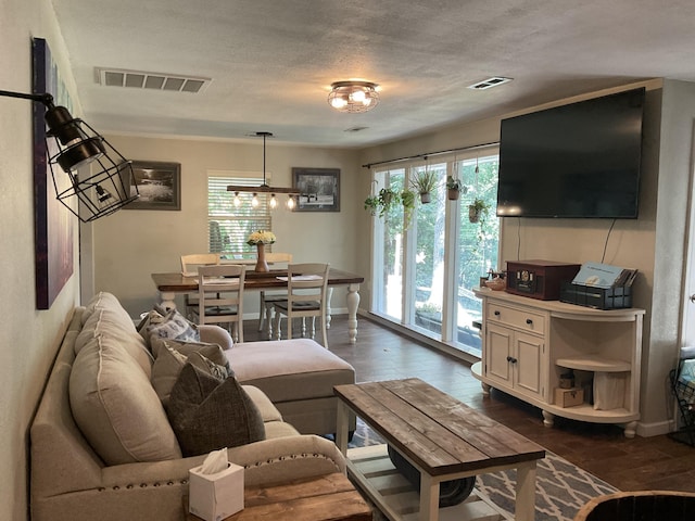 living room featuring a textured ceiling, plenty of natural light, and dark wood-type flooring