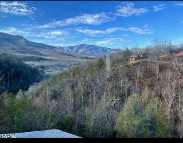 mountain view featuring a wooded view