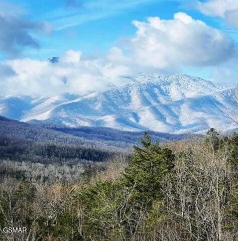 property view of mountains featuring a wooded view