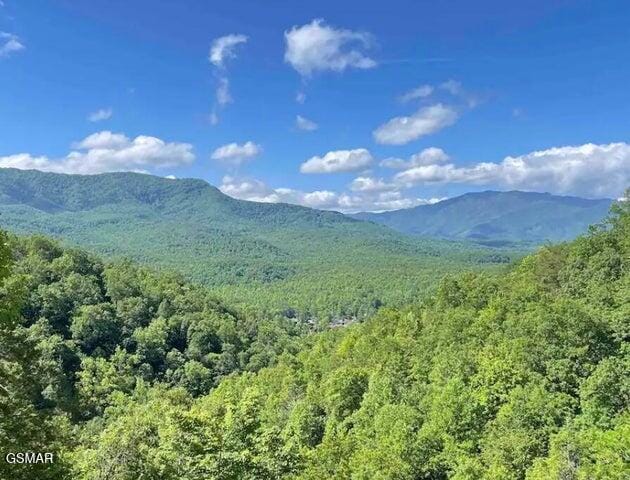 property view of mountains featuring a view of trees