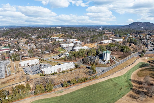 bird's eye view featuring a mountain view