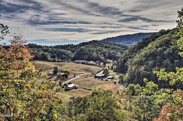 910 Laurel Lick Rd, Pigeon Forge, TN 37863 - view of mountain backdrop with a heavily wooded area