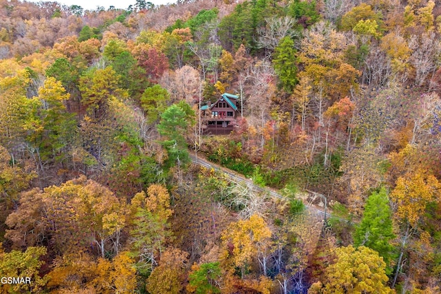 910 Laurel Lick Rd, Pigeon Forge, TN 37863 - view of subject property featuring a forest