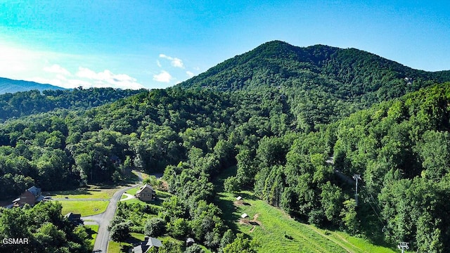 3136 Thomas Headrick Rd, Sevierville, TN 37862 - photo 33