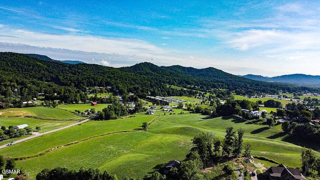 3136 Thomas Headrick Rd, Sevierville, TN 37862 - photo 31