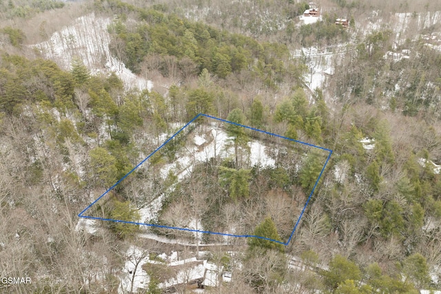 LOT2 Sunshine Trl, Gatlinburg TN, 37738 land for sale