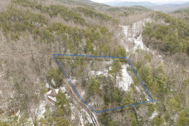 Listing photo 2 for LOT2 Sunshine Trl, Gatlinburg TN 37738