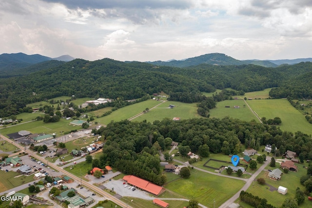 3135 Laurelwood Ln, Sevierville, TN 37862 - photo 50