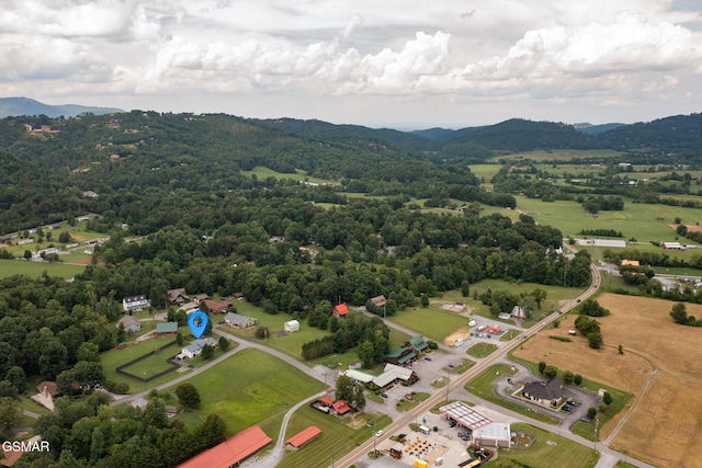 3135 Laurelwood Ln, Sevierville, TN 37862 - photo 49
