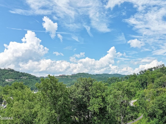 616 Turkey Nest Rd Unit 108, Gatlinburg, TN 37738 - photo 7