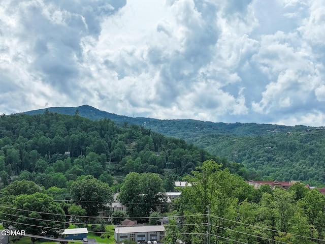 616 Turkey Nest Rd Unit 108, Gatlinburg, TN 37738 - photo 6