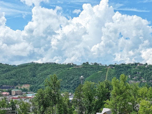 616 Turkey Nest Rd Unit 108, Gatlinburg, TN 37738 - photo 5