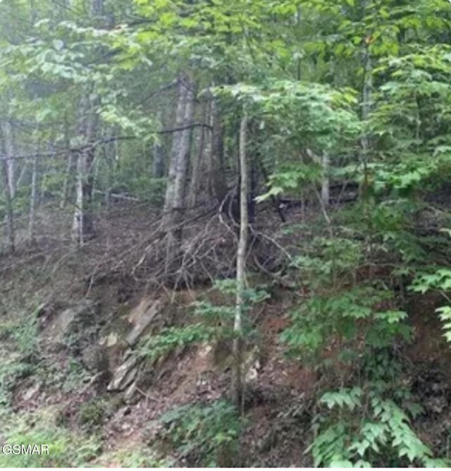 Listing photo 2 for LOT331 Ridgefield Dr, Sevierville TN 37876