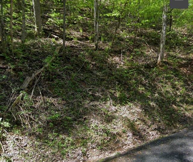 Listing photo 3 for LOT331 Ridgefield Dr, Sevierville TN 37876