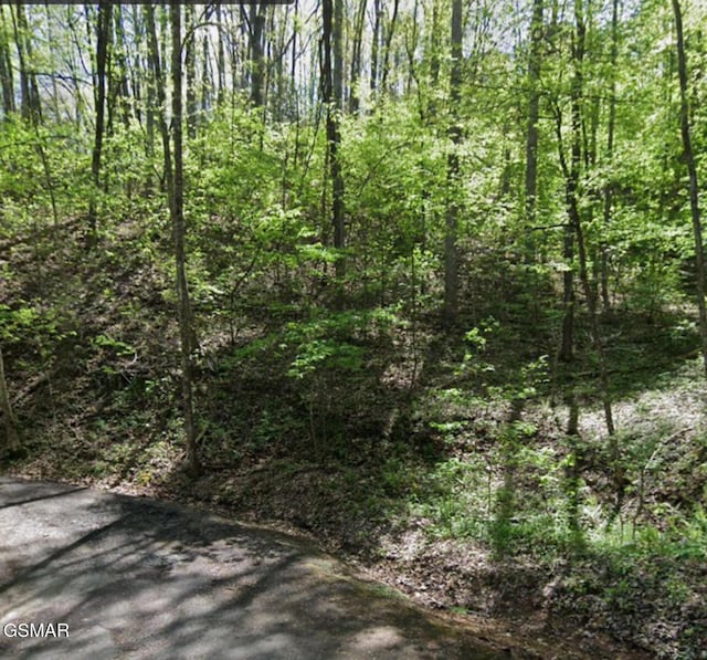 LOT331 Ridgefield Dr, Sevierville TN, 37876 land for sale