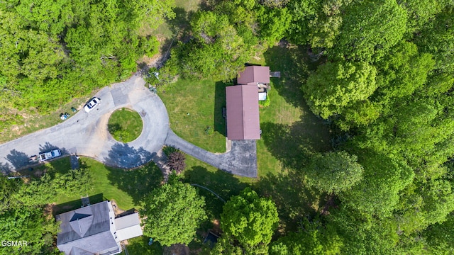aerial view