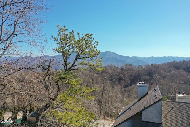 1155 Upper Alpine Way # 204, Gatlinburg, TN 37738 - photo 22