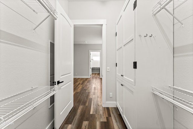 3955 Denton Ct, Sevierville, TN 37862 - walk in closet with dark wood-style flooring
