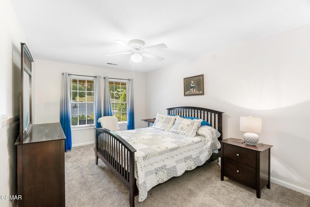 1218 Ernest Mcmahan Rd, Sevierville, TN 37862 - bedroom featuring light carpet and a ceiling fan