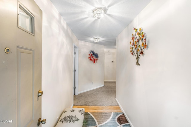 1218 Ernest Mcmahan Rd, Sevierville, TN 37862 - hall featuring wood finished floors and baseboards
