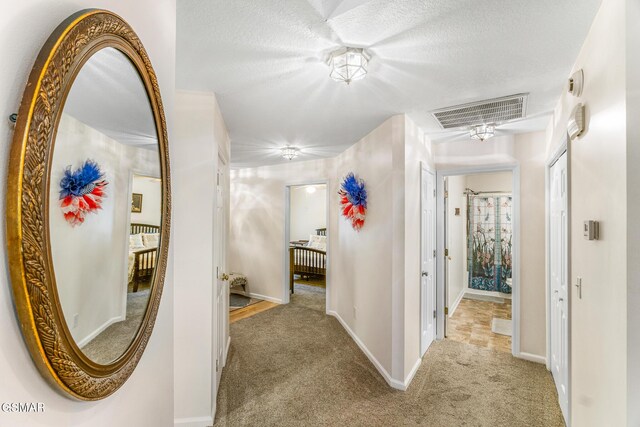 1218 Ernest Mcmahan Rd, Sevierville, TN 37862 - hall with carpet and baseboards