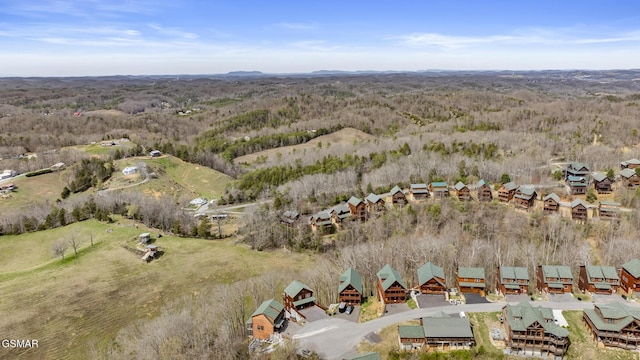 692 Stockton Dr, Sevierville, TN 37876 - aerial view of a heavily wooded area