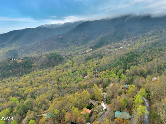 property view of mountains featuring a view of trees