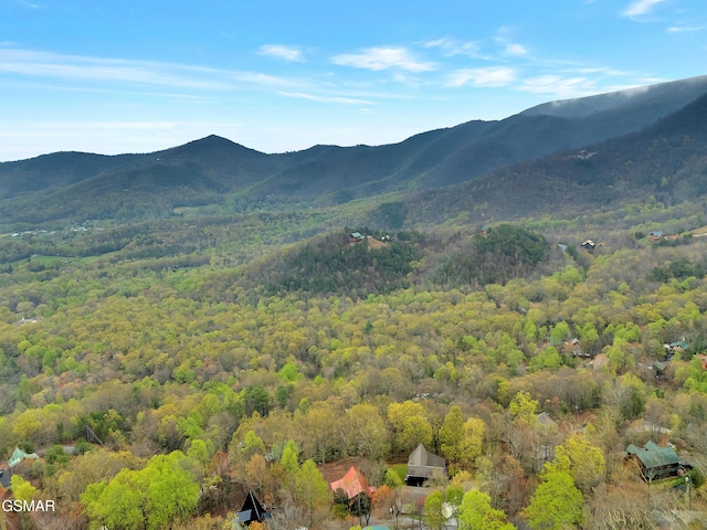 property view of mountains featuring a forest view