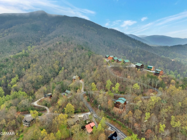 property view of mountains featuring a forest view