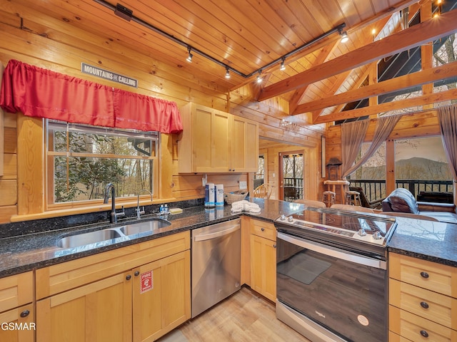 kitchen with light wood finished floors, stainless steel appliances, a sink, wood walls, and track lighting