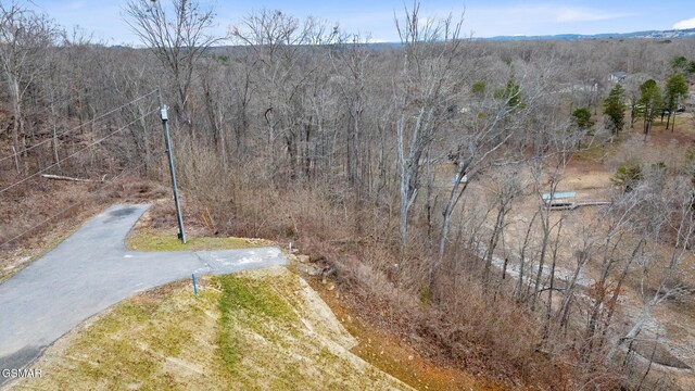 LOT135 W Point Dr, Dandridge, TN 37725