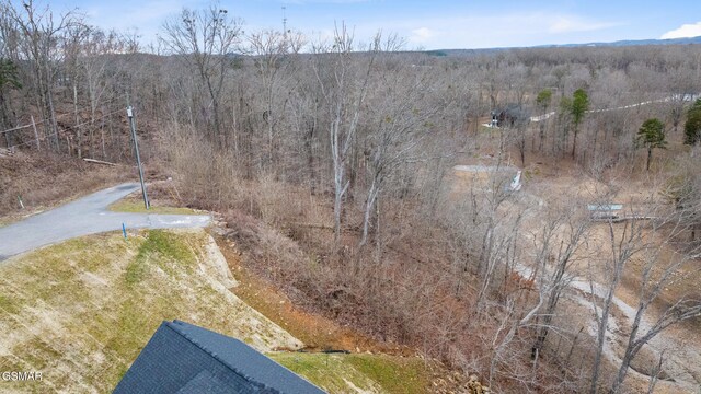 LOT135 W Point Dr, Dandridge, TN 37725