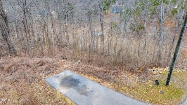 LOT135 W Point Dr, Dandridge, TN 37725