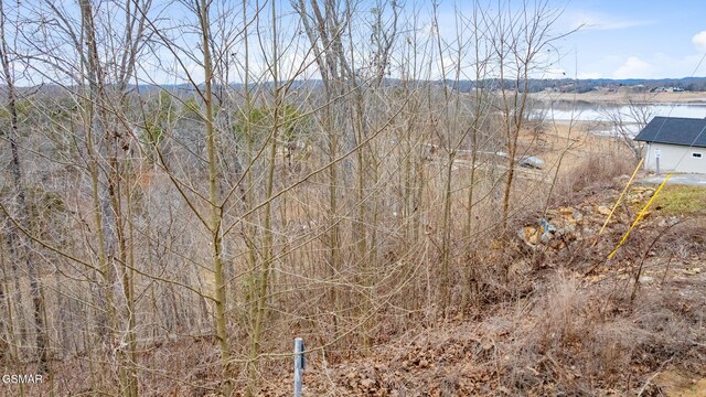 LOT135 W Point Dr, Dandridge, TN 37725