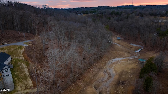 LOT135 W Point Dr, Dandridge, TN 37725