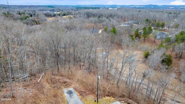 Listing photo 3 for LOT135 W Point Dr, Dandridge TN 37725