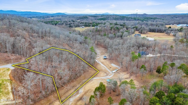 LOT135 W Point Dr, Dandridge TN, 37725 land for sale