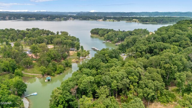 LOT135 W Point Dr, Dandridge, TN 37725