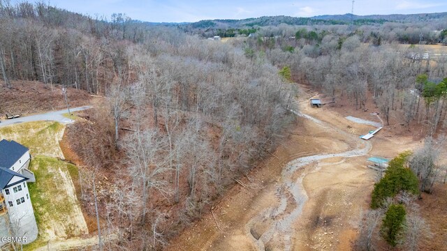 LOT135 W Point Dr, Dandridge, TN 37725