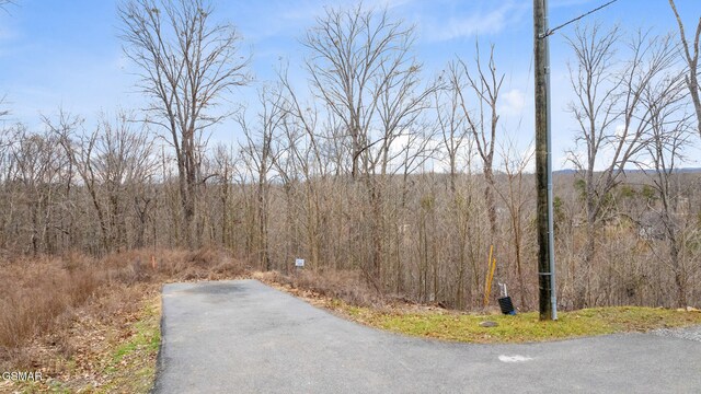 LOT135 W Point Dr, Dandridge, TN 37725
