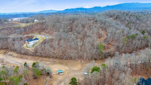 LOT135 W Point Dr, Dandridge, TN 37725